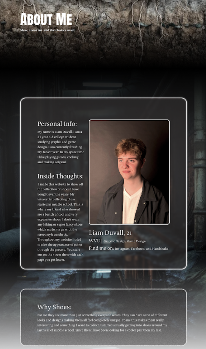 Third picture showing off my cs project